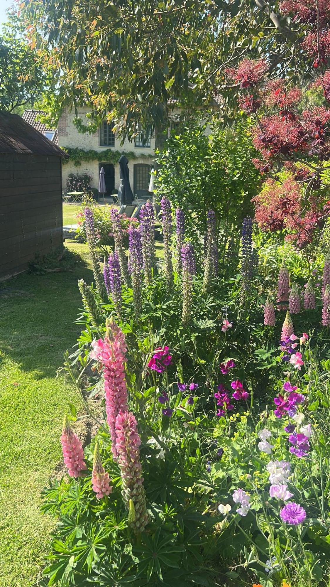 La Maison D'Aline - Honfleur - Maison D'Hote De Charme A La Normande ペンヌドゥピ 部屋 写真