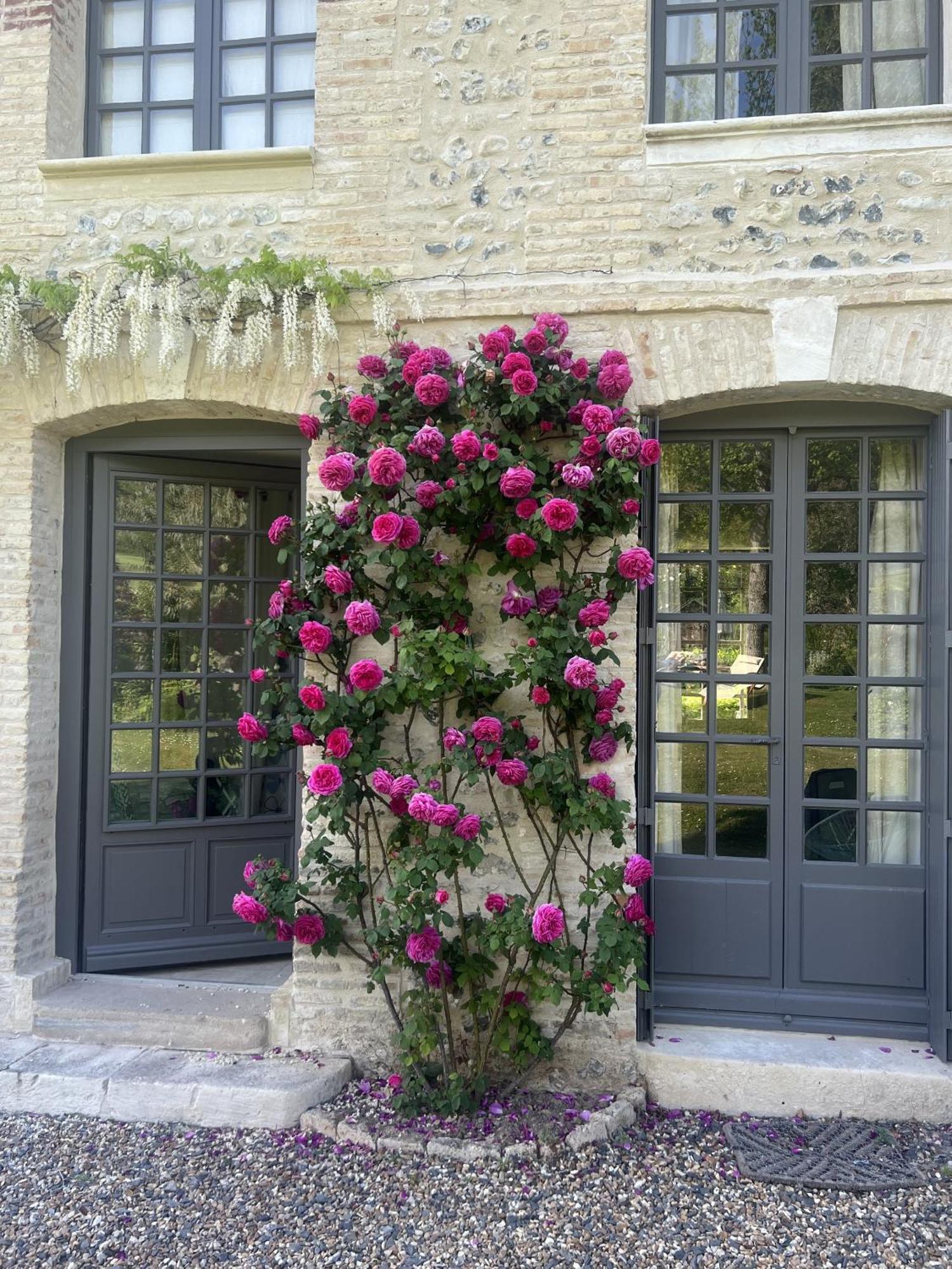 La Maison D'Aline - Honfleur - Maison D'Hote De Charme A La Normande ペンヌドゥピ エクステリア 写真